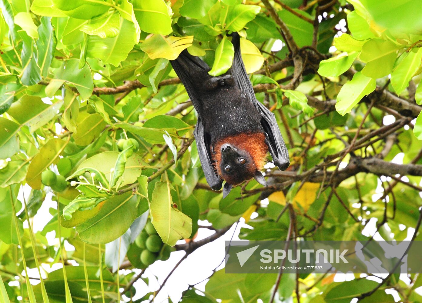 Countries of the world. Maldives