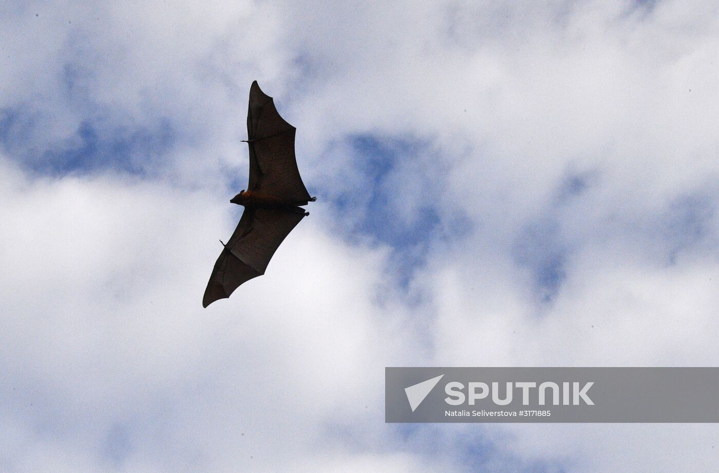Countries of the world. Maldives