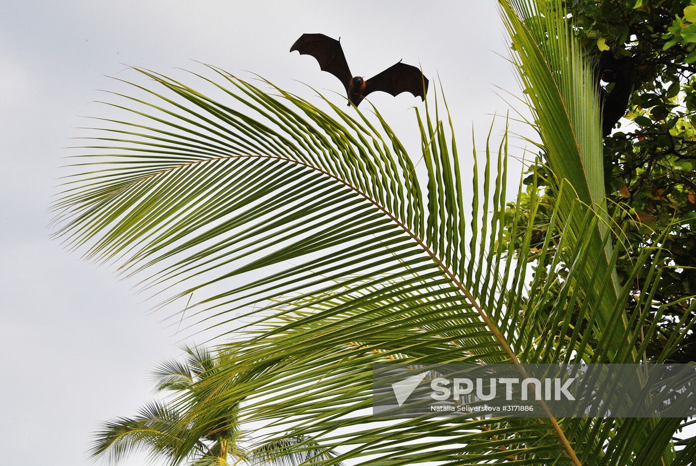 Countries of the world. Maldives