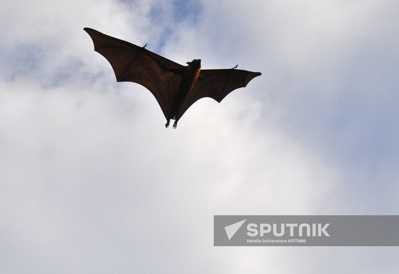 Countries of the world. Maldives