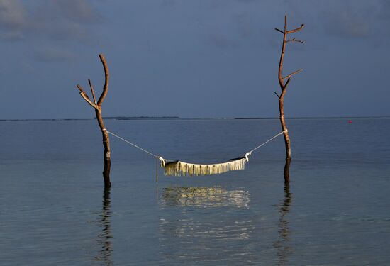 Countries of the world. Maldives