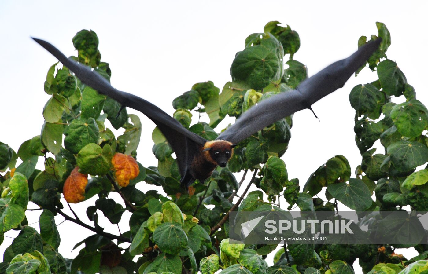 Countries of the world. Maldives