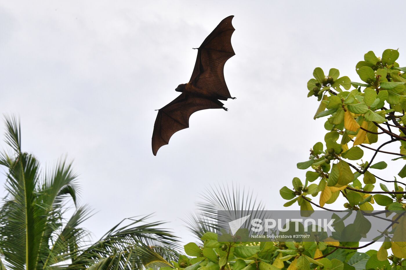 Countries of the world. Maldives