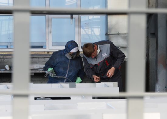 Voronezhstalmost plant in Voronezh