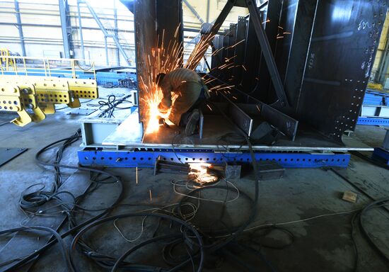 Voronezhstalmost plant in Voronezh