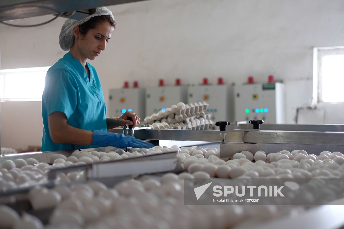 Poultry factory in Krasnodar Territory