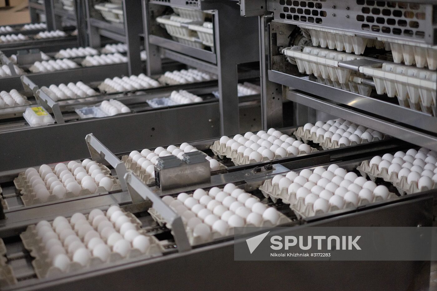 Poultry factory in Krasnodar Territory