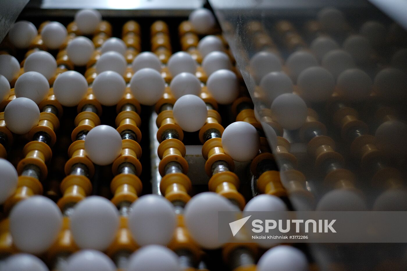 Poultry factory in Krasnodar Territory