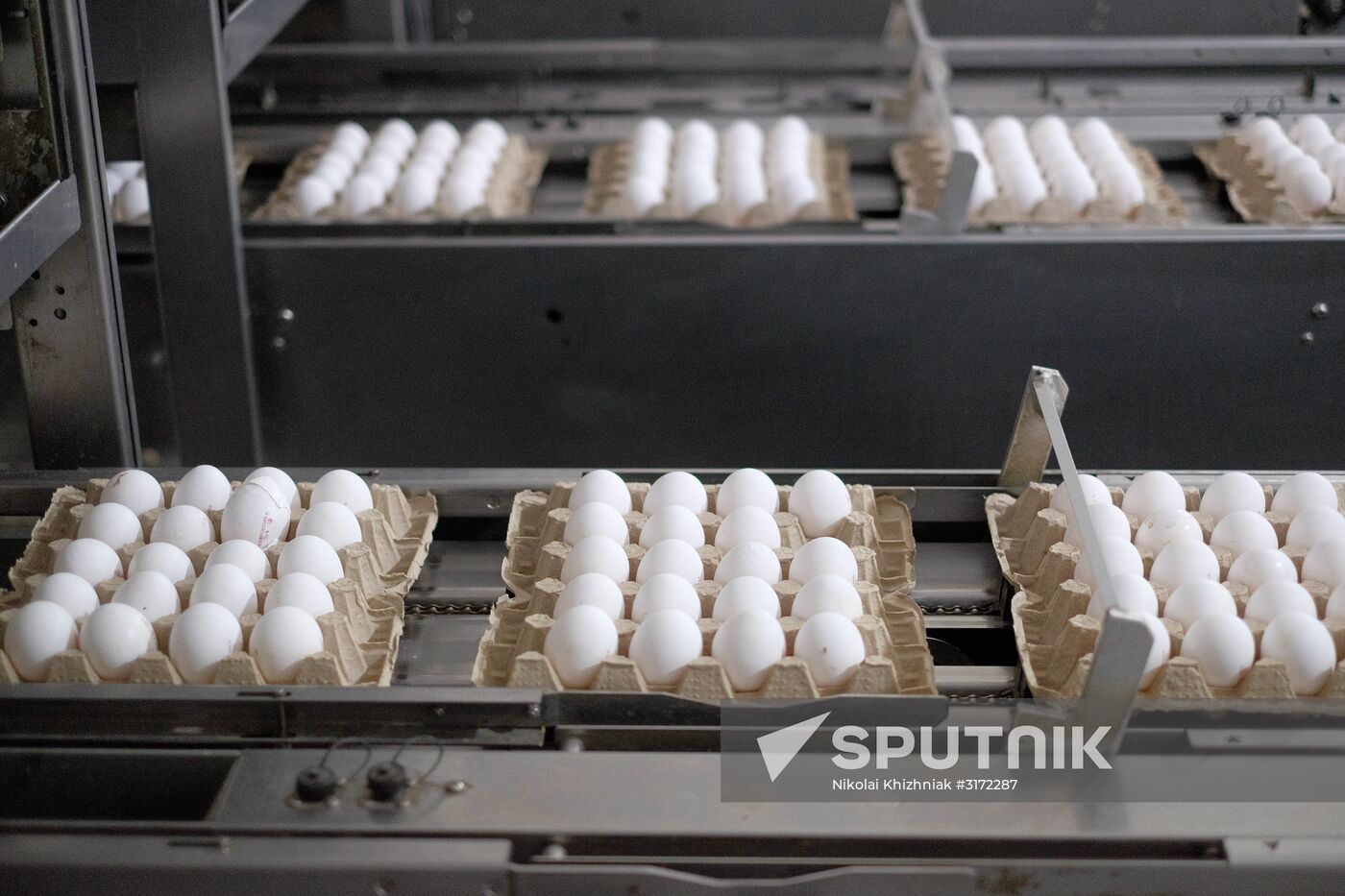 Poultry factory in Krasnodar Territory