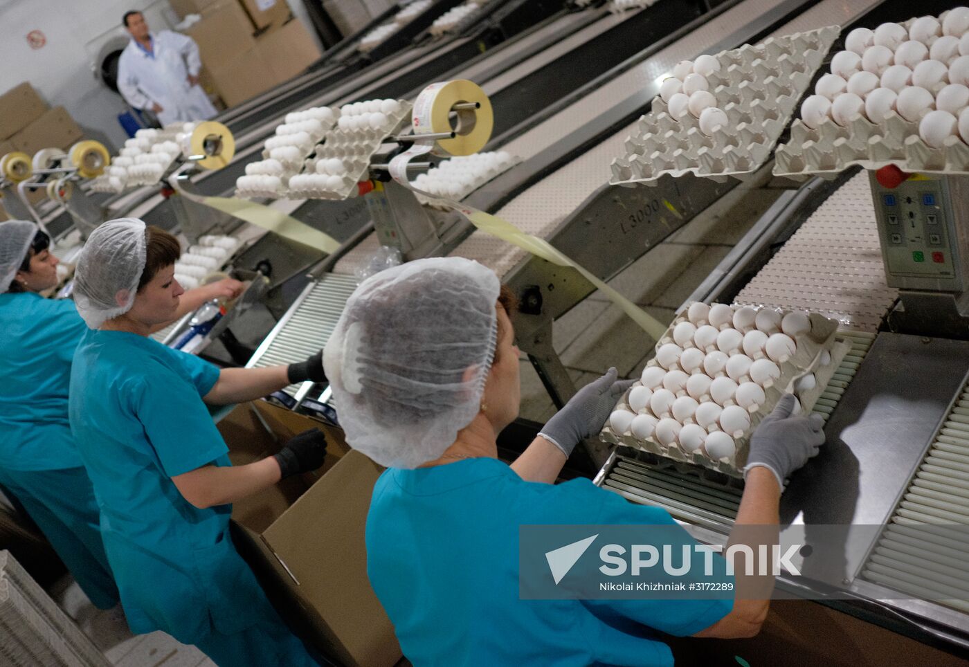 Poultry factory in Krasnodar Territory