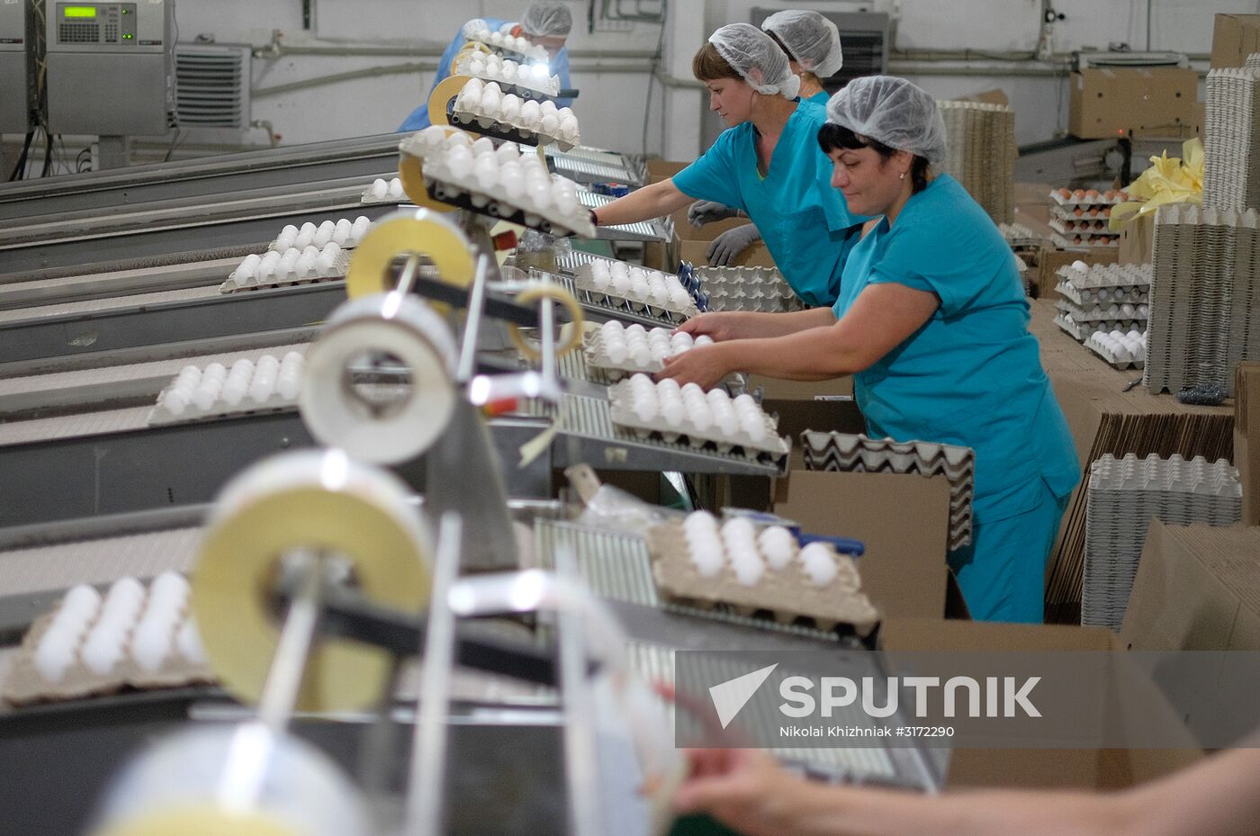 Poultry factory in Krasnodar Territory