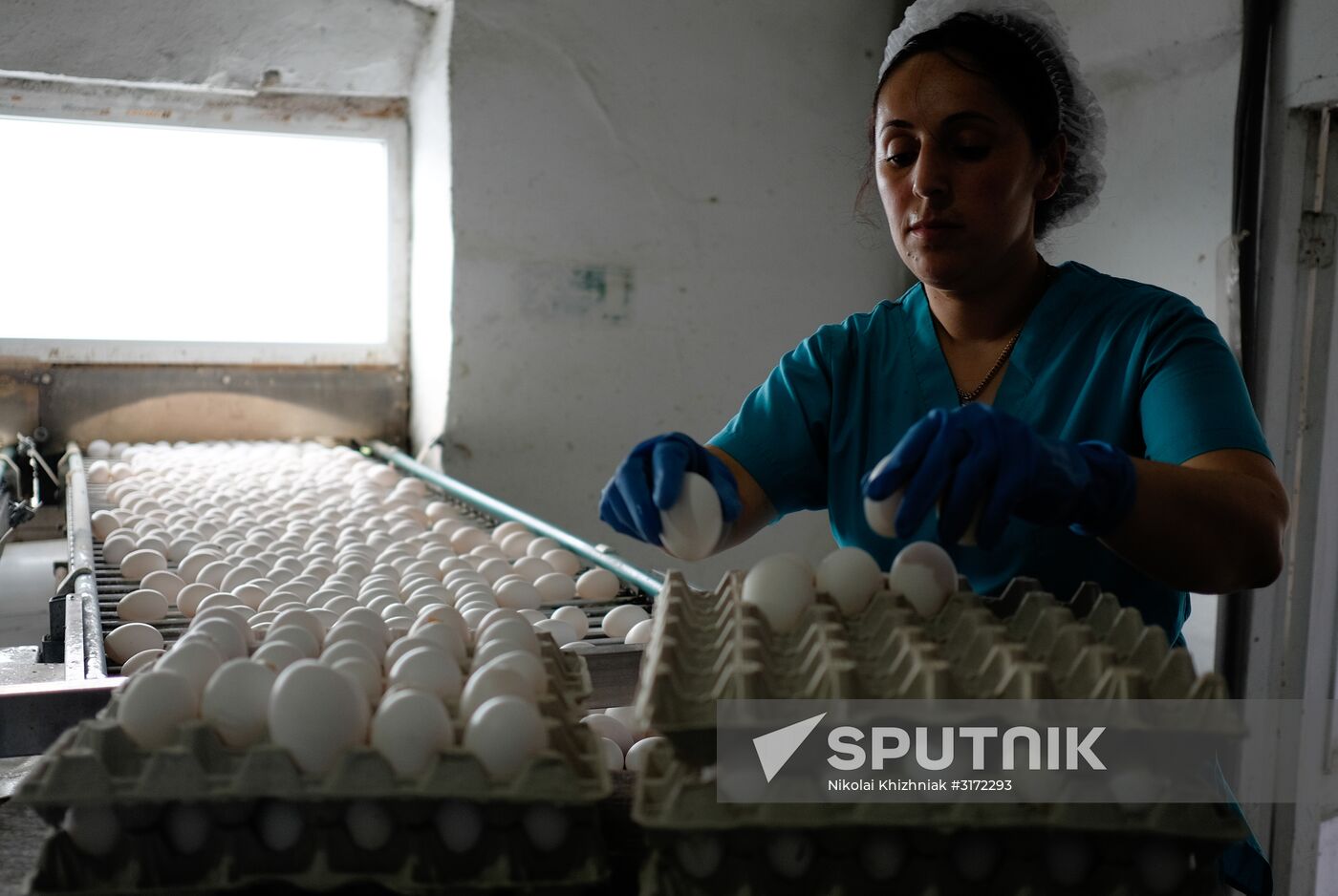 Poultry factory in Krasnodar Territory