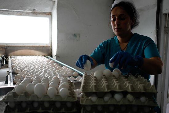 Poultry factory in Krasnodar Territory