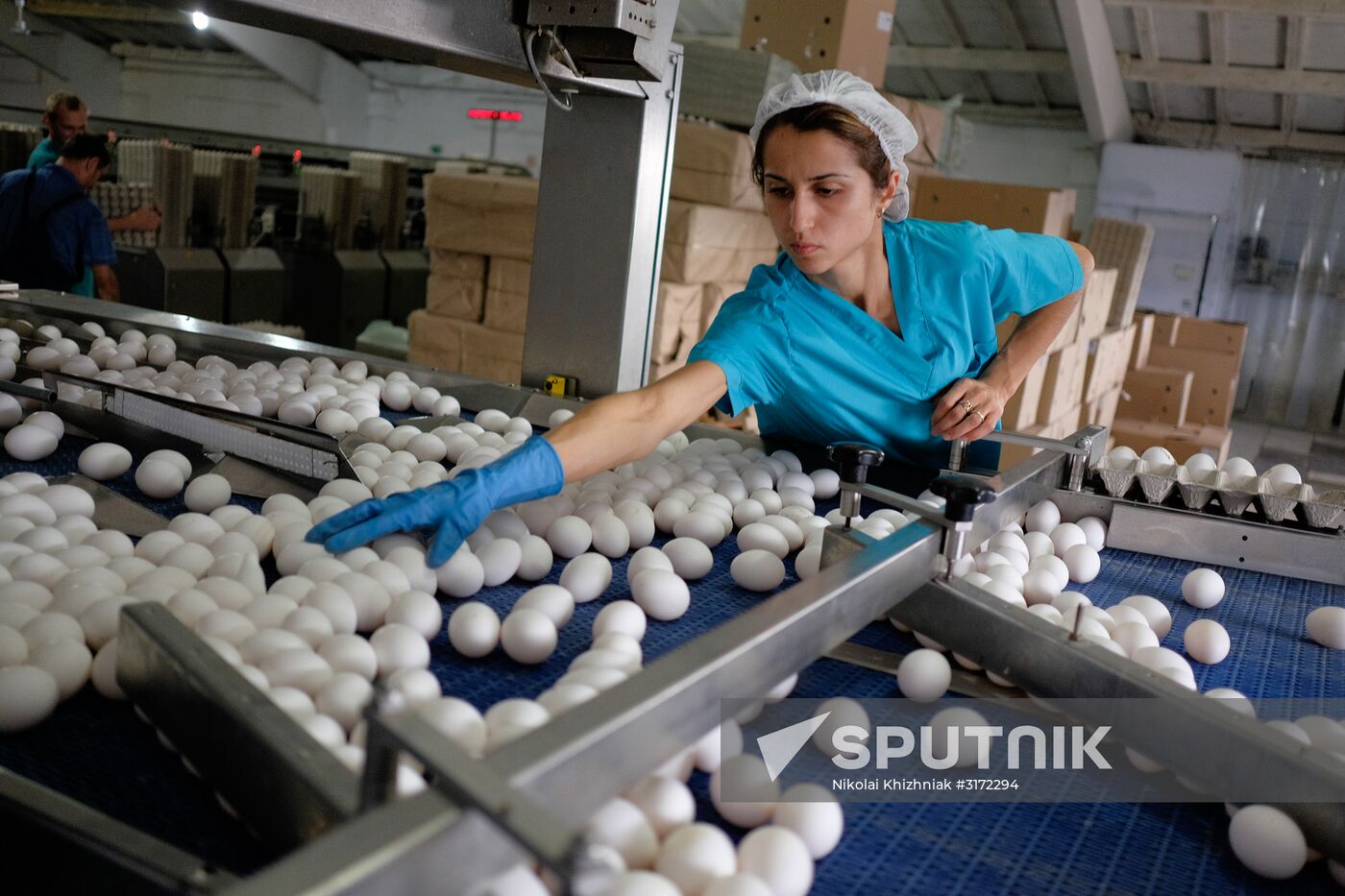 Poultry factory in Krasnodar Territory