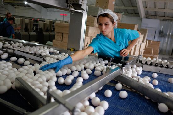 Poultry factory in Krasnodar Territory