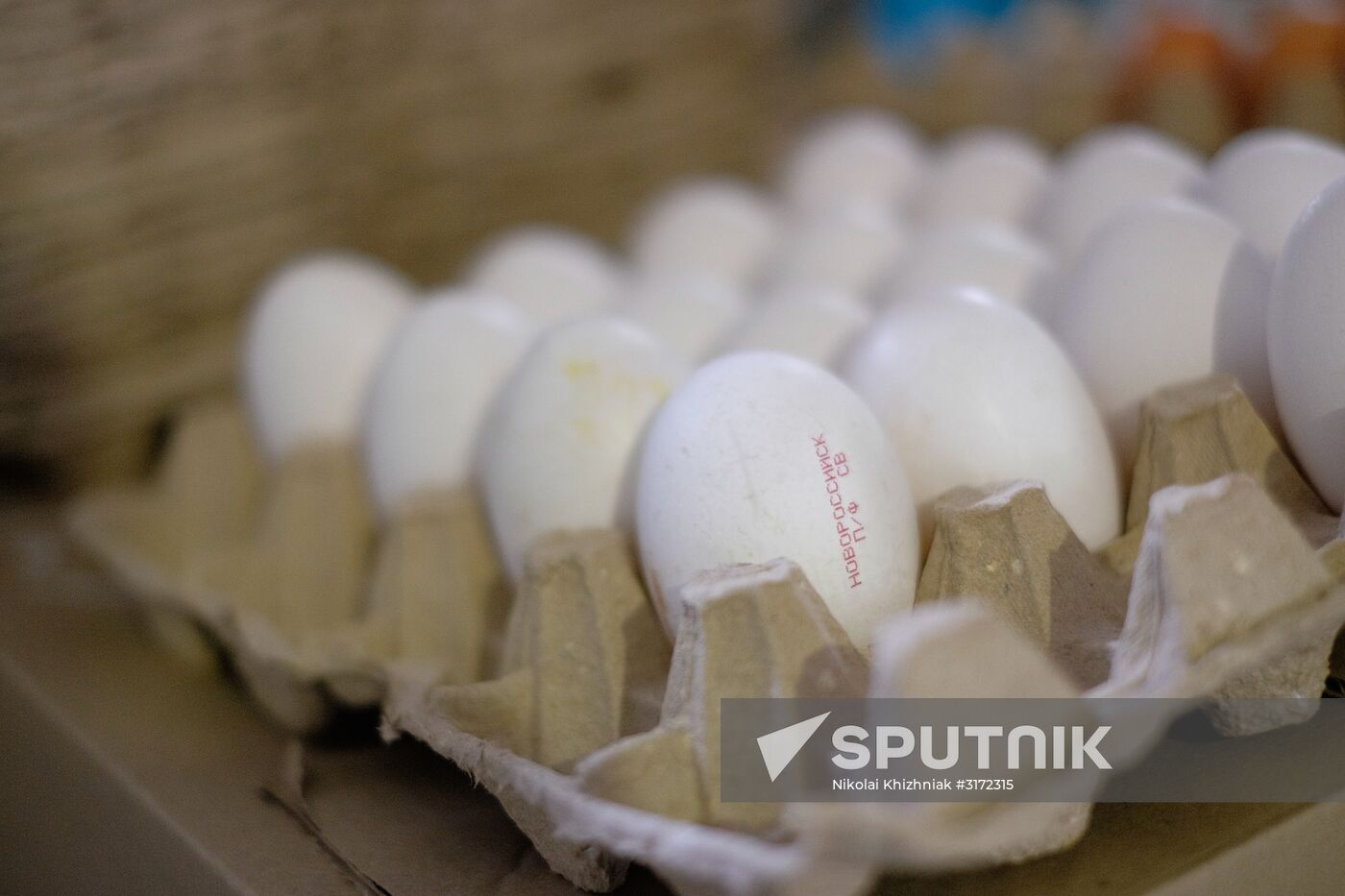 Poultry factory in Krasnodar Territory