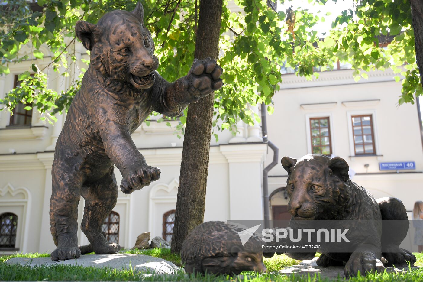 Unveiling of Tiger Cubs sculpture