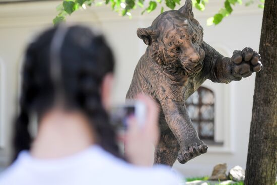 Unveiling of Tiger Cubs sculpture