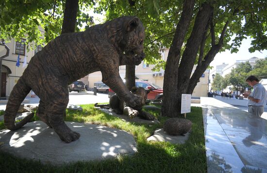 Unveiling of Tiger Cubs sculpture