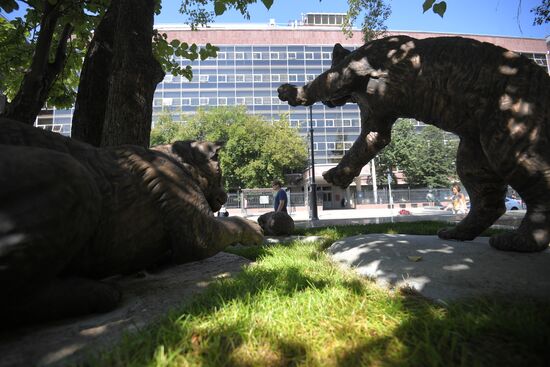 Unveiling of Tiger Cubs sculpture