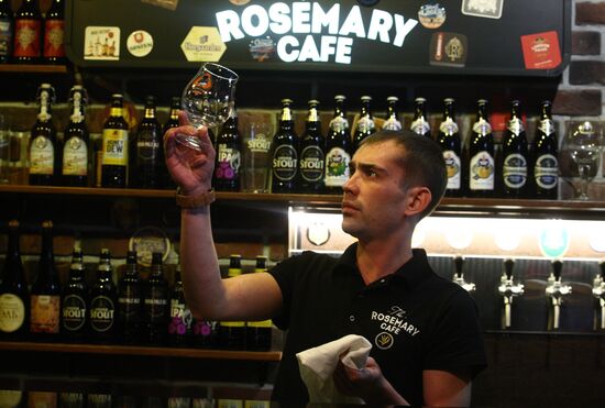 Russian cities. Saransk