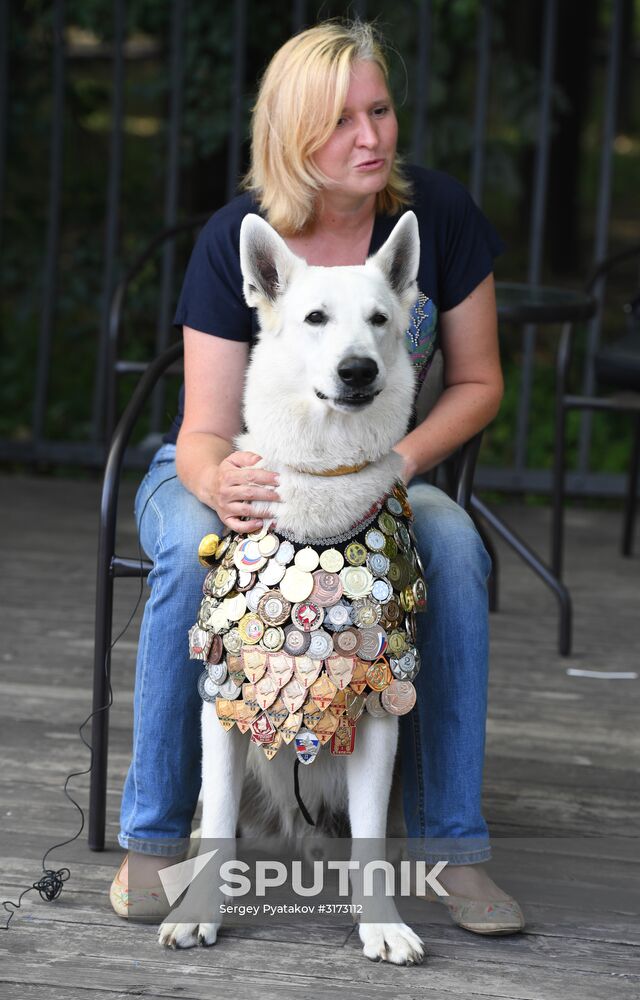 Military working dog memory day