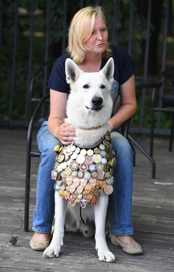 Military working dog memory day
