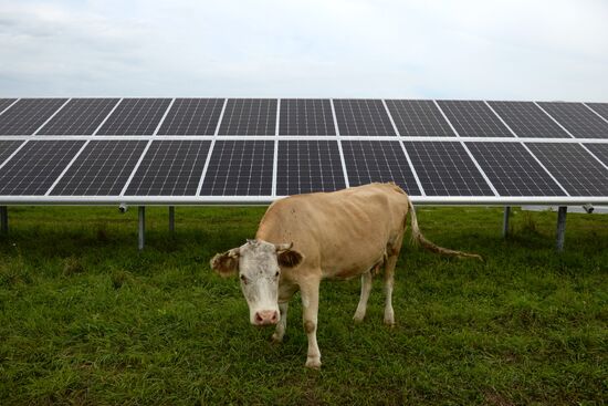 Maima Solar Power Plant in Altai Republic