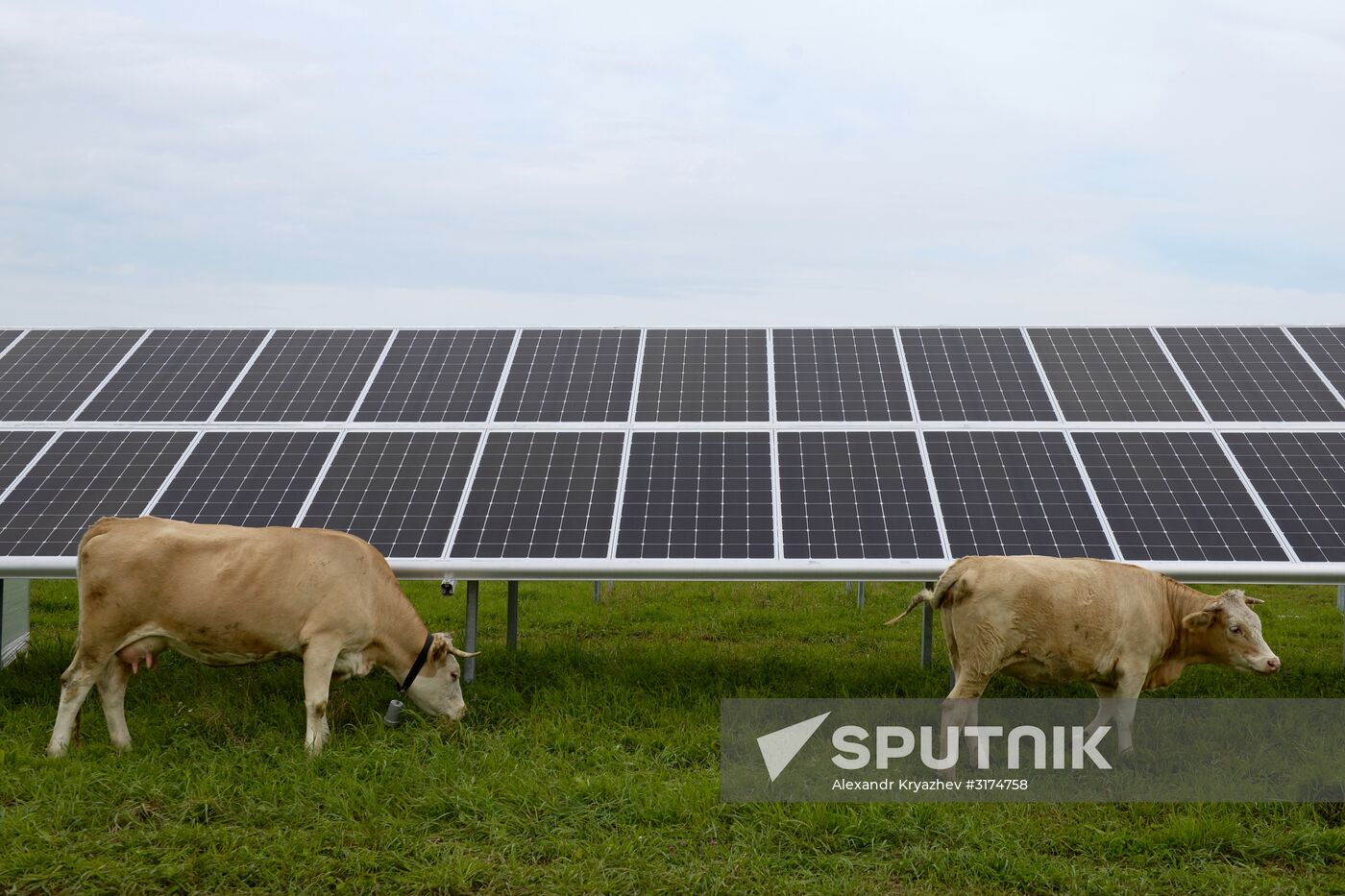 Maima Solar Power Plant in Altai Republic