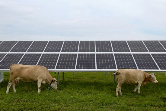 Maima Solar Power Plant in Altai Republic