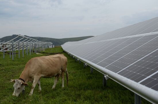 Maima Solar Power Plant in Altai Republic