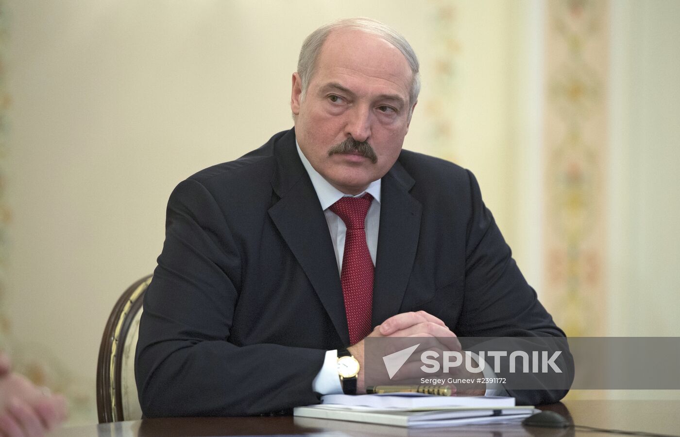 Vladimir Putin chairs Supreme Eurasian Economic Council meeting