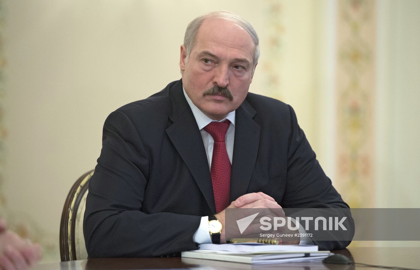 Vladimir Putin chairs Supreme Eurasian Economic Council meeting