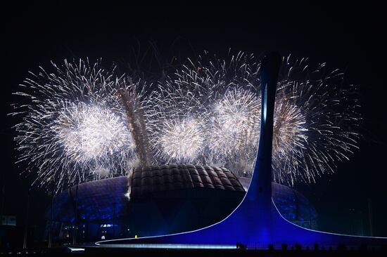 Opening ceremony of the Sochi 2014 Winter Paralympic Games