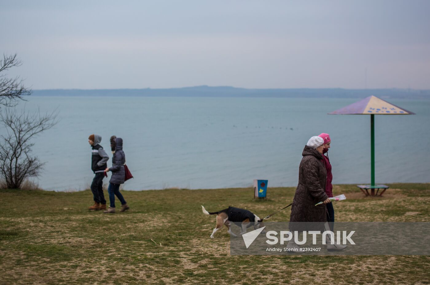 Situation in Crimea