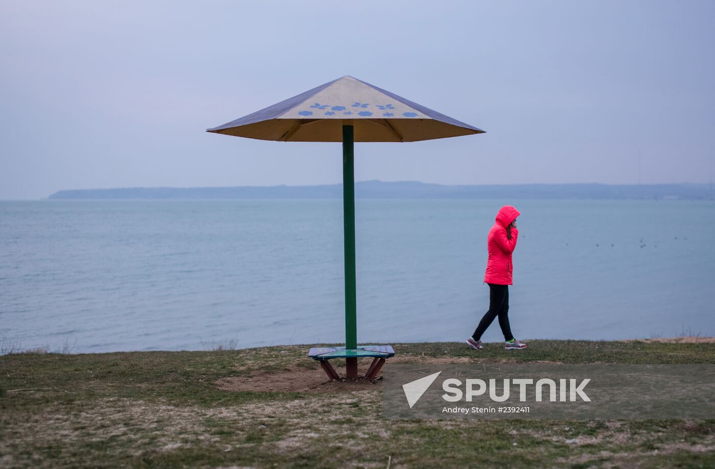 Situation in Crimea