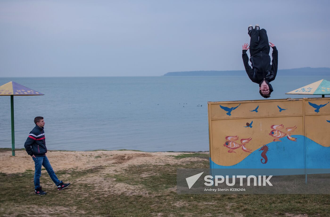 Situation in Crimea
