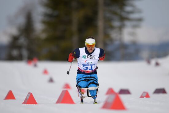 2014 Winter Paralympics. Biathlon. Men. Short distance