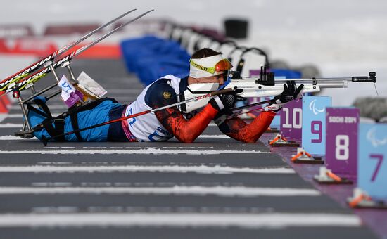 2014 Winter Paralympics. Biathlon. Men. Short distance
