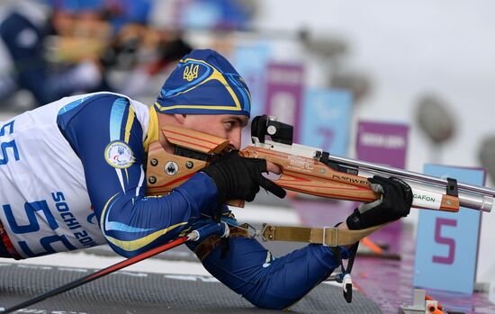 2014 Winter Paralympics. Biathlon. Men. Short distance