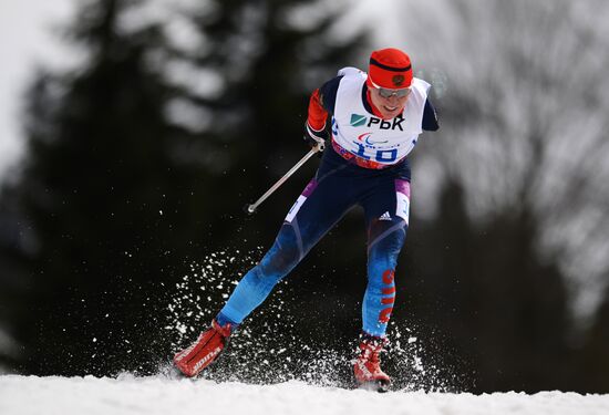 2014 Winter Paralympics. Biathlon. Men. Short distance