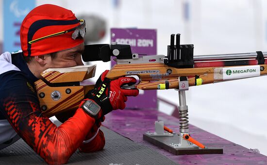 2014 Winter Paralympics. Biathlon. Men. Short distance