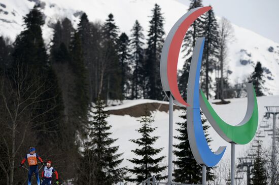 2014 Winter Paralympics. Biathlon. Men. Short distance