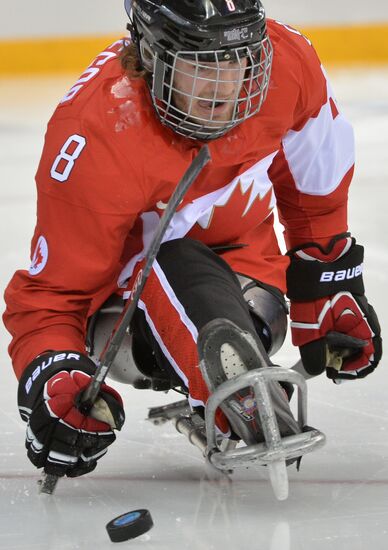 2014 Winter Paralympics. Ice sledge hockey. Canada vs. Sweden