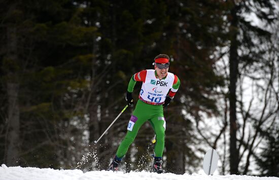 2014 Winter Paralympics. Biathlon. Men. Short distance