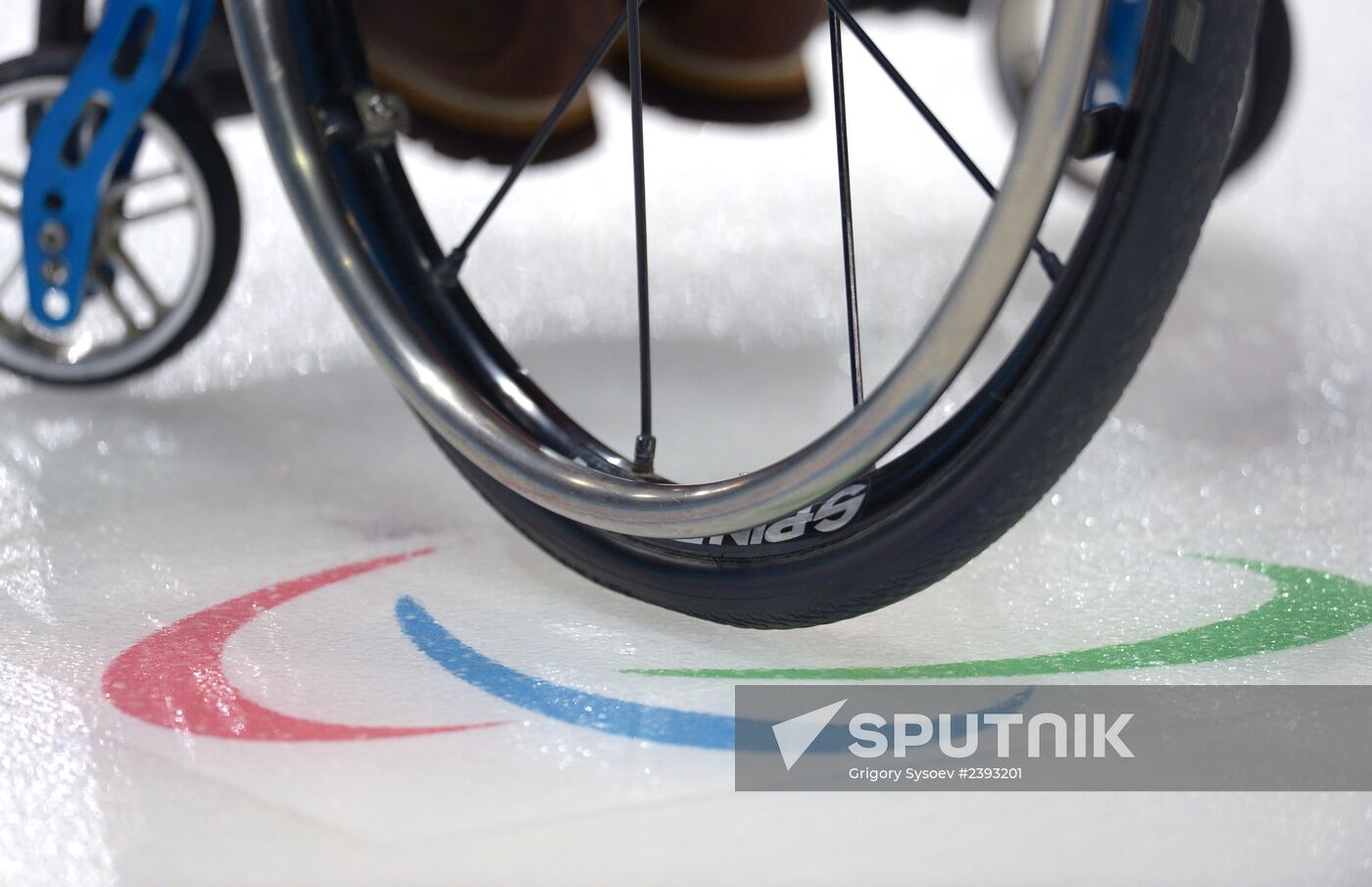 2014 Winter Paralympics. Wheelchair curling. Day Two