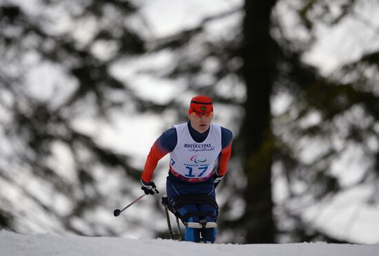 2014 Winter Paralympics. Cross-country skiing. Men. 15km race