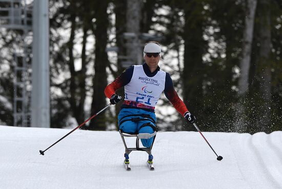 2014 Winter Paralympics. Cross-country skiing. Men. 15km race
