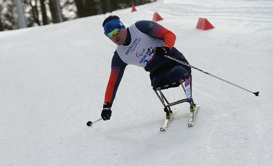 2014 Winter Paralympics. Cross-country skiing. Men. 15km race