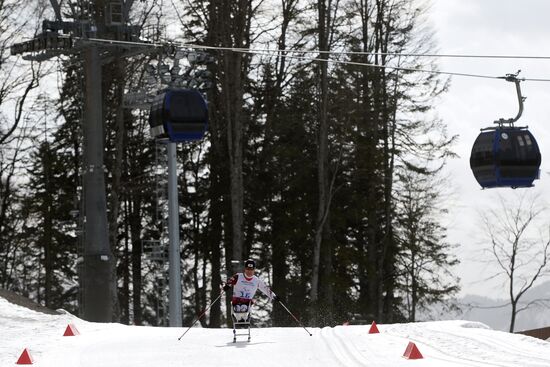 2014 Winter Paralympics. Cross-country skiing. Men. 15km race